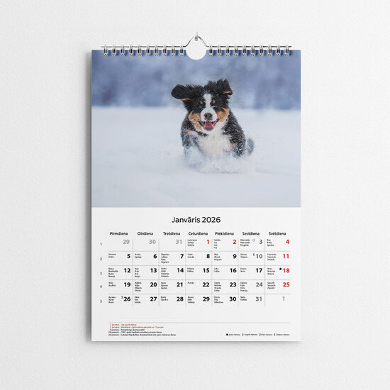 A3 Šveices suņu kalendārs 2026 gadam