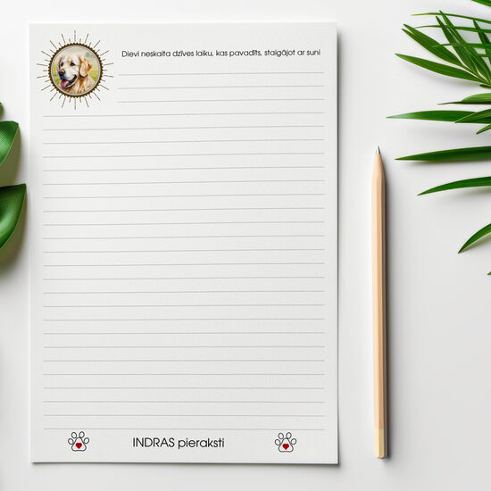 Indra | Zelta retrīvers