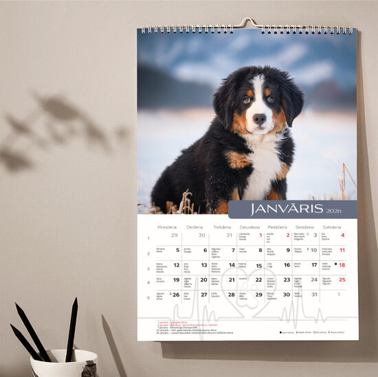 A3 Dažādu kucēnu sienas kalendārs 2026.gadam