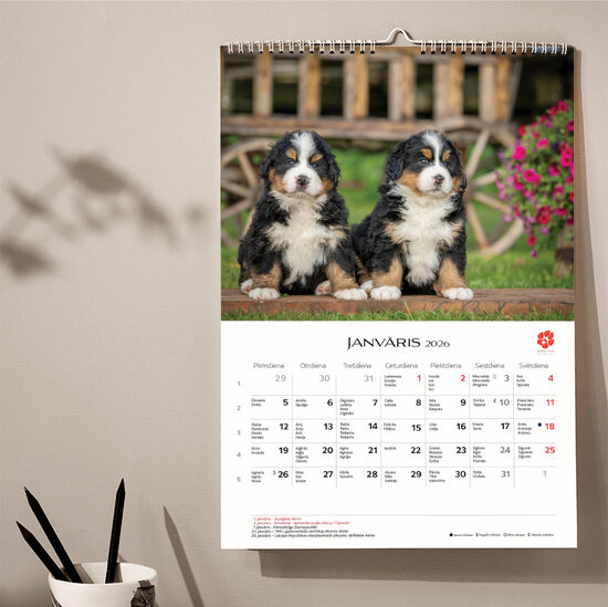 A3 Kucēnu sienas kalendārs 2026.gadam