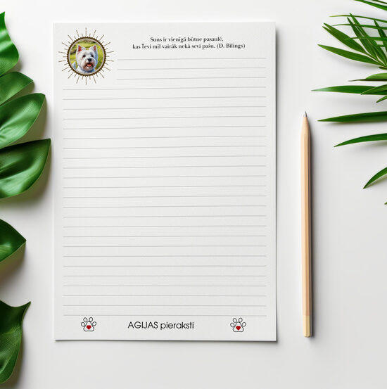 Agija | Vesthailendas baltais terjers