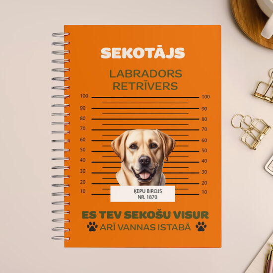 Sekotājs | Labradors retrīvers